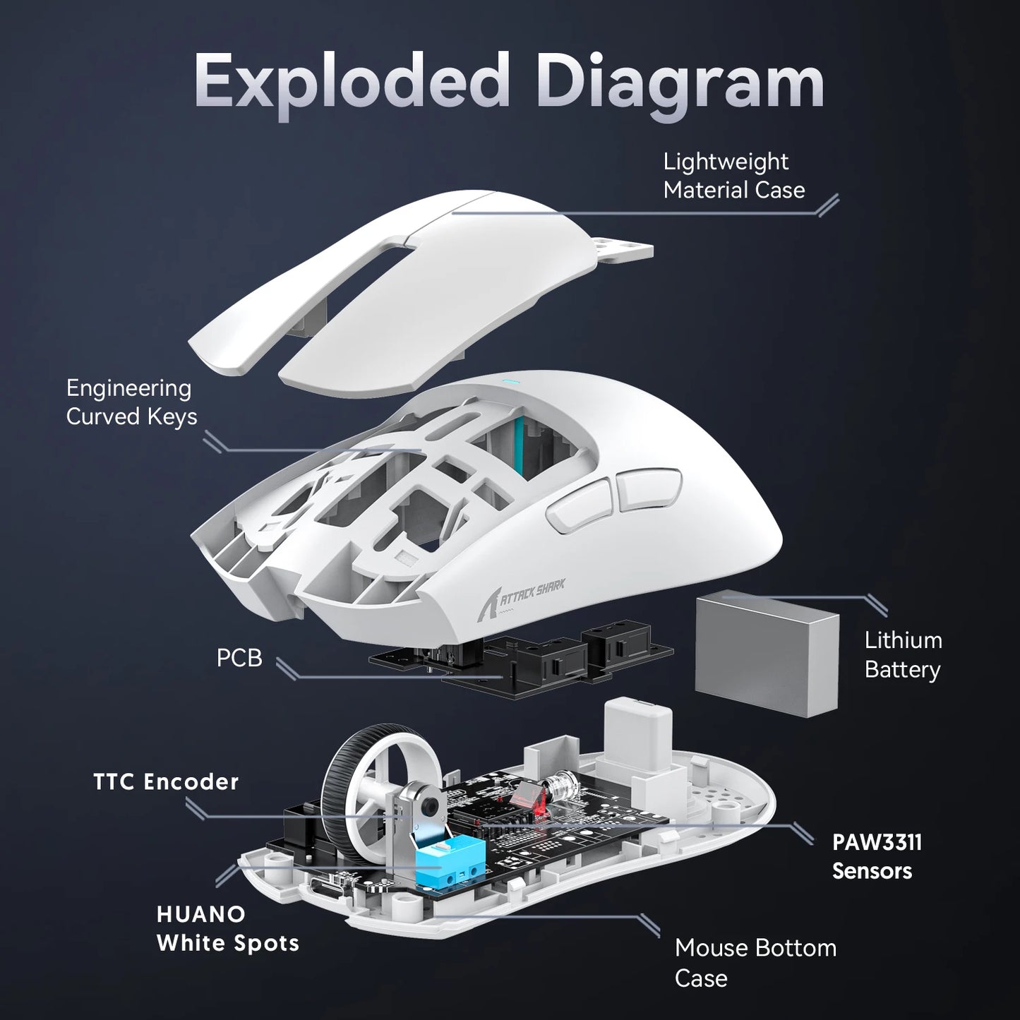 X11 Wireless Mouse Tri-Mode Connection